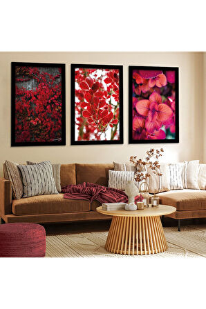 Siyah Ahşap Çerçeveli Renkli Çiçekler Tablo