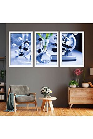 Siyah Ahşap Çerçeveli Biyoloji Kimya Tablo