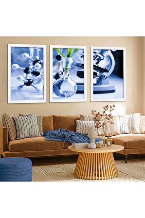 Siyah Ahşap Çerçeveli Biyoloji Kimya Tablo