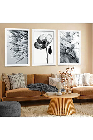 Siyah Ahşap Çerçeveli Siyah Beyaz Çiçek Tablo