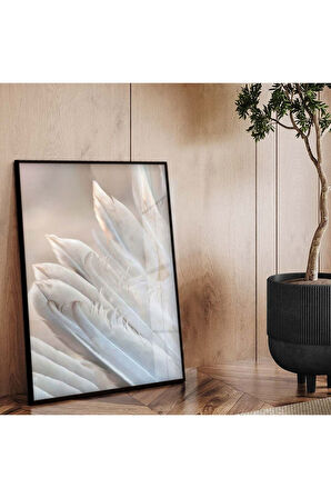 Gümüş Metal Çerçeveli Beyaz Kuş Tüyü Kırılmaz Cam Tablo