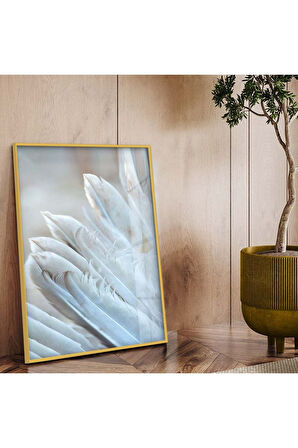 Gold Metal Çerçeveli Beyaz Kuş Tüyü Kırılmaz Cam Tablo