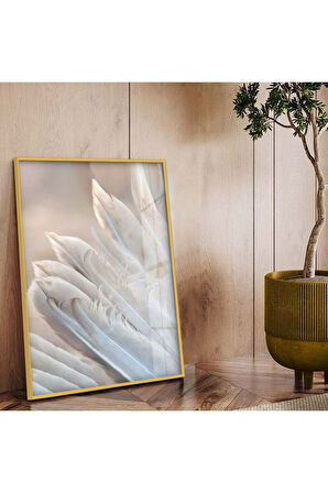 Gümüş Metal Çerçeveli Beyaz Kuş Tüyü Kırılmaz Cam Tablo