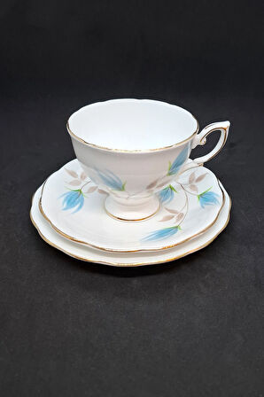 ROYAL STANDART Fine Bone China Vintage Çay Fincanı 3 Parça 210 ml