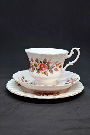 Bone China Viktorya Dönemi Vintage Çay Fincanı 3 Parça 210 ml