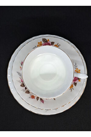 Bone China Viktorya Dönemi Vintage Çay Fincanı 3 Parça 210 ml