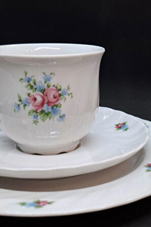 Seltmann Weiden Regina Çay Fincanı 3 Parça 210 ml Pembe Mavi