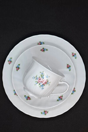 Seltmann Weiden Regina Çay Fincanı 3 Parça 210 ml Pembe Mavi