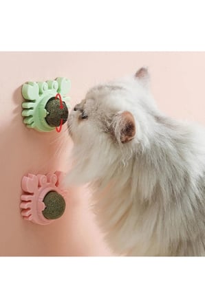 Delux Serisi Eğlenceli Evcil Dost Aktivite Petshop Yengeç Kedi Otu Oyun Topu