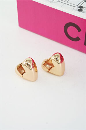 Kadın Vip Seri Balon Kalp Küpe