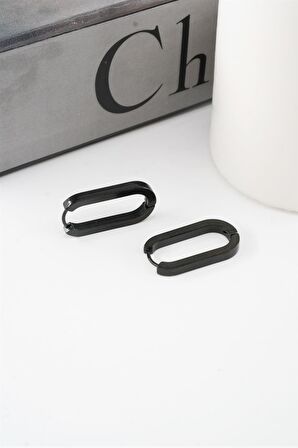 Kadın 316 L Paslanmaz Çelik 2 cm Elips Model Küpe
