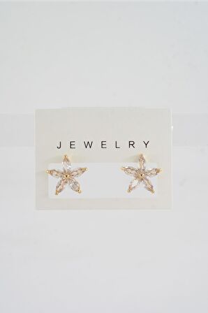 Kadın Özel Tasarım Zirkon Taşlı 2'li Minimal Küpe