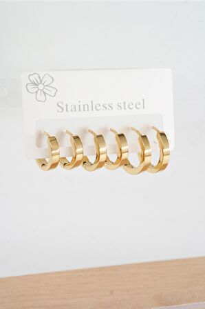 Kadın 316 L Çelik Vip Seri Anti alerjenik 6'lı Küpe  STL001