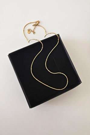 316 L Çelik Antialerjenik Kararmaz Yılan Kolye  45+7 cm