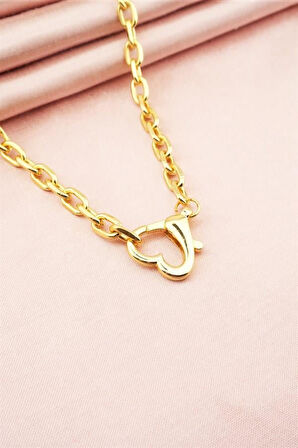 Kadın 40 Cm Kalp Model Kilit Detaylı Kolye