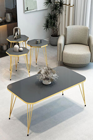 3'Lü Sekizgen Zigon Sehpa ve Dikdörtgen Orta Sehpa Takımı Modern Gold Metal Ayaklı Salon Sehpa Seti