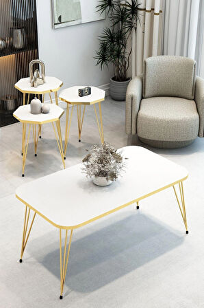 3'Lü Sekizgen Zigon Sehpa ve Dikdörtgen Orta Sehpa Takımı Modern Gold Metal Ayaklı Salon Sehpa Seti