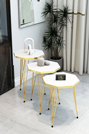 3'Lü Sekizgen Zigon Sehpa ve Dikdörtgen Orta Sehpa Takımı Modern Gold Metal Ayaklı Salon Sehpa Seti