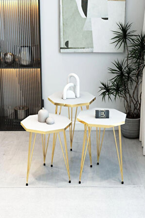 3'Lü Sekizgen Zigon Sehpa ve Dikdörtgen Orta Sehpa Takımı Modern Gold Metal Ayaklı Salon Sehpa Seti