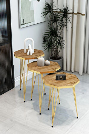 3'Lü Sekizgen Zigon Sehpa ve Dikdörtgen Orta Sehpa Takımı Modern Gold Metal Ayaklı Salon Sehpa Seti