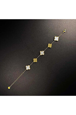 Van Figürlü, Paslanmaz Çelik Zincir Bileklik 63, Altın Renk