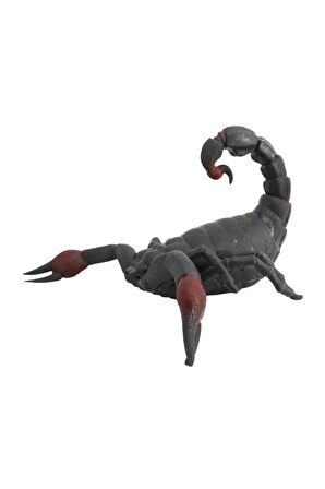 Kız Çocuk Oyuncak Erkek Çocuk Oyuncak Strech Kahverengi Akrep Eğitici Oyuncaklar