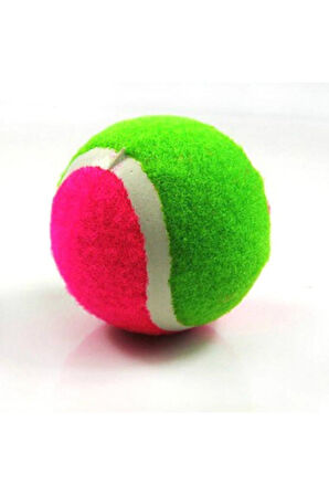 Eğitici Öğretici Çocuk Oyuncaklar At Tut Oyun Seti (cırt Cırtlı Top Yakalama Oyunu)