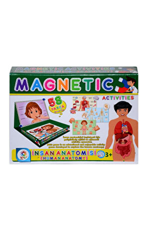 Kız Çocuk Oyuncak Erkek Çocuk Oyuncak LC7171 Laço, Laço, Manyetik Aktiviteler - İnsan Anatomisi / +3