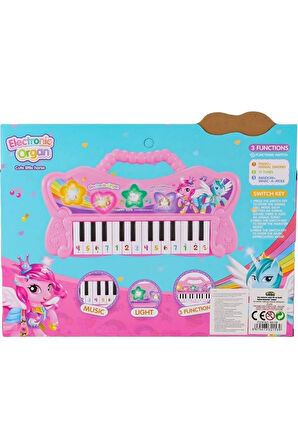 Kız Çocuk Oyuncak Erkek Çocuk Oyuncak KUTULU ÇANTALI PİLLİ ORG Eğitici Oyuncaklar