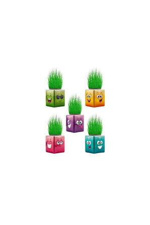 Eğitici Öğretici Çocuk Oyuncaklar Çim Adam Kare Emoji Şekilli Çim Adam Surat 4Adet Okul Öncesi Sonra