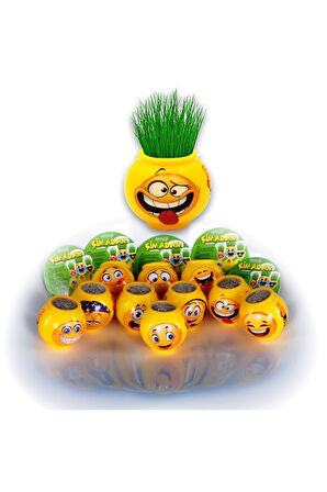 Eğitici Öğretici Çocuk Oyuncaklar Çim Adam Çimoji 10Adet Yeni Tasarımlar 1kalite Malzeme Çim Adamlar