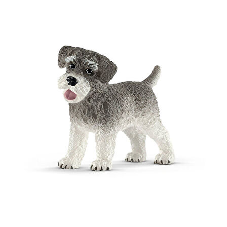 Kız Erkek Çocuk Oyuncak 13892 Schleich - Minyatür Schnauzer +3 yaş Kız Erkek Çocuk Eğitici Eğitici Oyunc