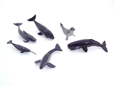 Kız Erkek Çocuk Oyuncak Model Memeli Deniz Hayvanları Kız Erkek Çocuk Eğitici