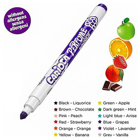 Öğretici Oyuncak Carioca Kokulu Keçeli Boya Kalemi 12'li Kız Erkek Çocuk Eğiticil