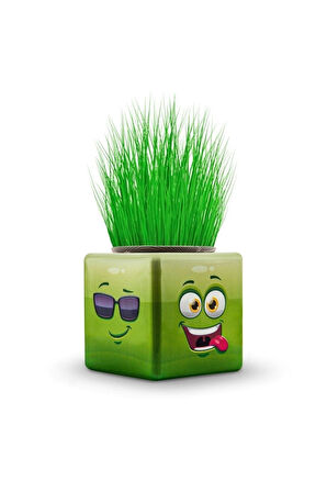 Eğitici Öğretici Çocuk Oyuncaklar 8Adet Karışık 3 Tarafı Emojili Küp Çim Adamlar Okul Ve Okul Öncesi