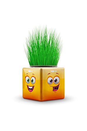 Eğitici Öğretici Çocuk Oyuncaklar 8Adet Karışık 3 Tarafı Emojili Küp Çim Adamlar Okul Ve Okul Öncesi