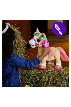 Kız Çocuk Oyuncak Erkek Çocuk Oyuncak Süslü Midilli Tarçın F4395 Eğitici Oyuncaklar