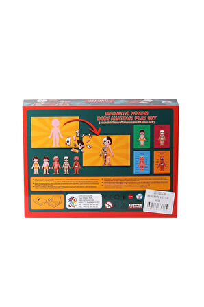 Kız Çocuk Oyuncak Erkek Çocuk Oyuncak LC986 Manyetik Aktivite İnsan Anatomisi -Laço Eğitici Oyuncakl