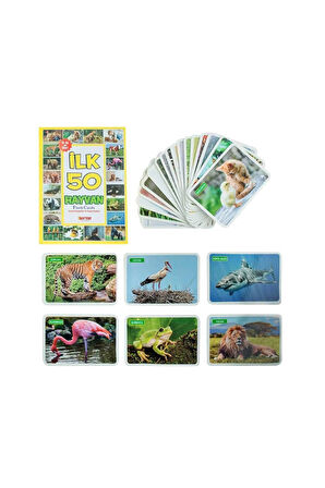 Kız Çocuk Oyuncak Erkek Çocuk Oyuncak 1352 Flash Cards İlk 50 Hayvan Eğitici Oyuncaklar