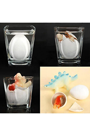 Eğitici Öğretici Çocuk Oyuncaklar 3Adet Büyük Boy 6Cm Islanınca Çatlayıp Büyüyen Dinazor Yumurtası O