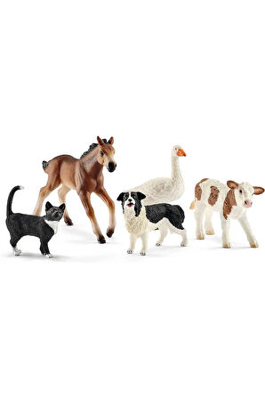 Kız Çocuk Oyuncak Erkek Çocuk Oyuncak Schleich FW Hayvanları Eğitici Oyuncaklar