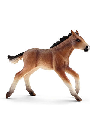 Kız Çocuk Oyuncak Erkek Çocuk Oyuncak Schleich FW Hayvanları Eğitici Oyuncaklar