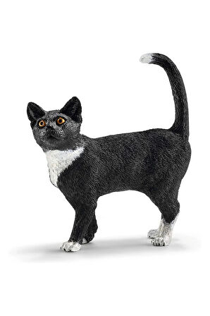 Kız Çocuk Oyuncak Erkek Çocuk Oyuncak Schleich FW Hayvanları Eğitici Oyuncaklar