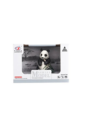 Kız Çocuk Oyuncak Erkek Çocuk Oyuncak Kutulu Model Bambu Yiyen Panda Eğitici Oyuncaklar