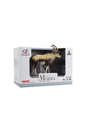 Kız Çocuk Oyuncak Erkek Çocuk Oyuncak Kutulu Model Antilop Eğitici Oyuncaklar