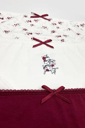3'lü Paket Paradıse 2700 Pamuklu Basic Desenli Brief Külot