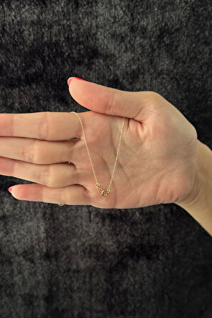 14 Ayar Altın Halka İçerisinde Şişko Yıldız Sallantılı Kolye