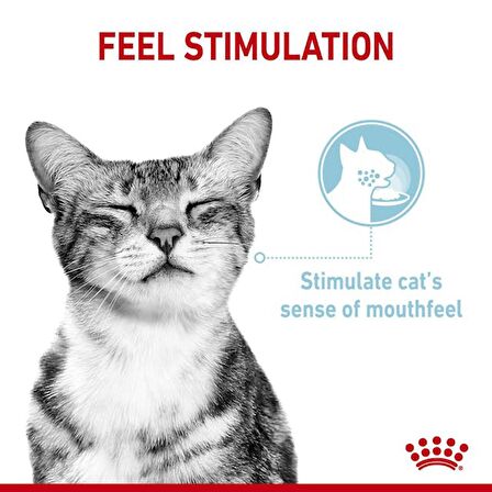 Royal Canin Sensory Duyusal His için Sos İçerisinde Yaş Kedi Maması 85g