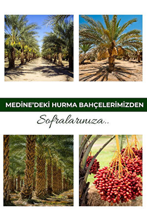 Organik Tatlandırıcı Hurma Suyu Konsantresi Yeni Mahsül 350 Gr
