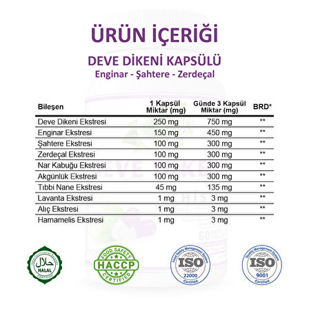 Deve Dikeni Kapsül (MİLK THİSTLE CAPSULE)